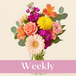 Weekly Custom Design Subscription