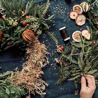 December 6 - Evergreen Elegance