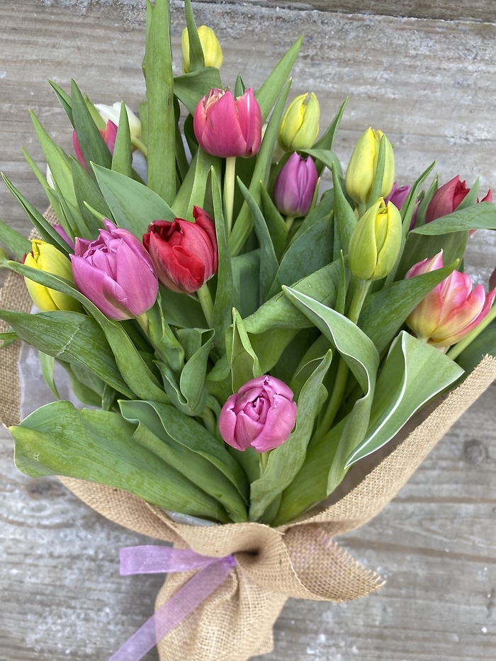 Tulips Bouquet 2 Dozens