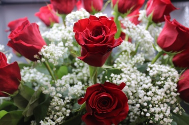 Lovestruck, Lovestruck (2 Dozens Red Roses)