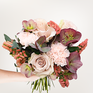 Dusty Twilight