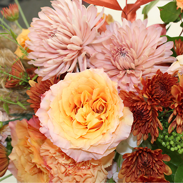 Peach Harvest Serenity