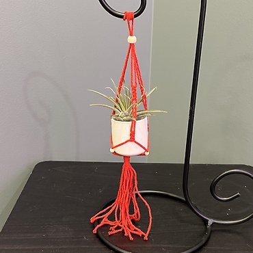 Petite Macrame Planter with Air Plant
