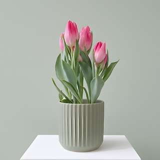 Tulip in Ceramic