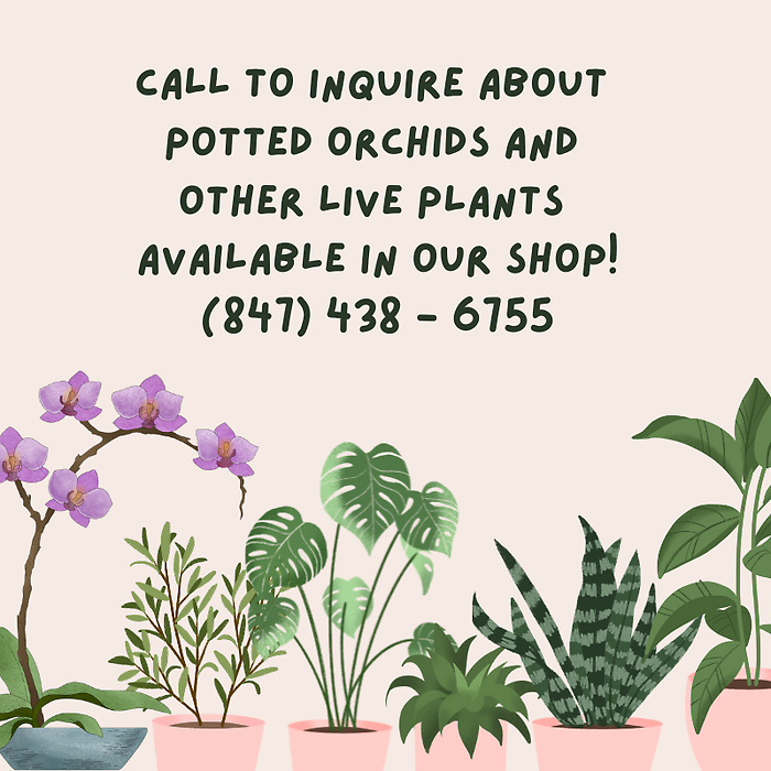 Call to Inquire (847) 438-6755