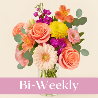 Bi-Weekly Custom Design Subscription