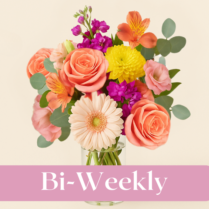 Bi-Weekly Custom Design Subscription