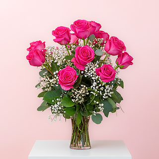 A Dozen Hot Pink Roses