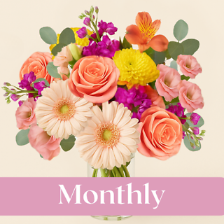 Monthly Custom Design Subscriptioin
