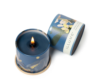 Citrus Crush Candle - Petite