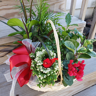Holiday Plant Basket