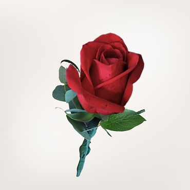 Red Rose Boutonniere