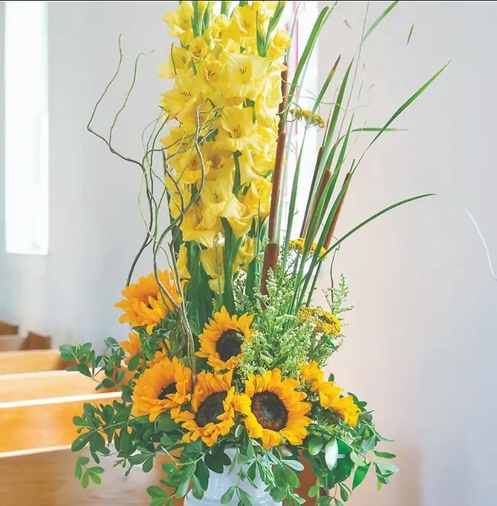 Fields of Sunshine