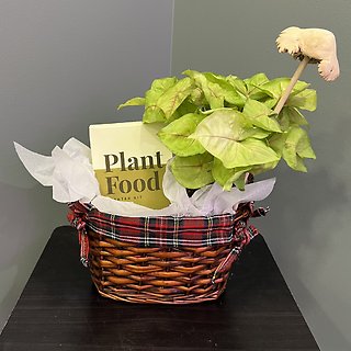 Plant Gift Basket
