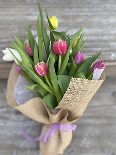 Tulips Bouquet 1 dozen