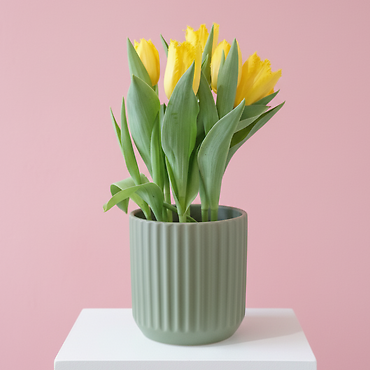 Tulip in Ceramic