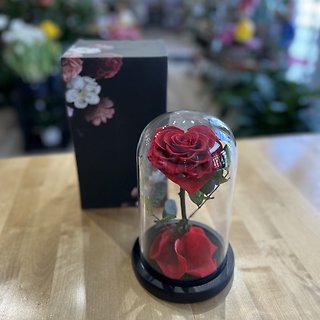Heart Red Rose Display