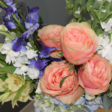 Skyline Blooms