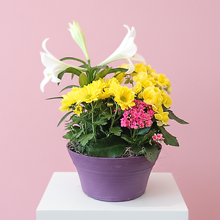 Spring Mixed Planter