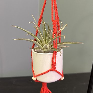 Petite Macrame Planter with Air Plant