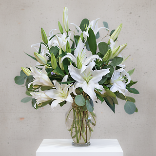 Casablanca Lilies